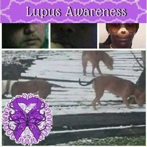 Meet your Posher, Kizzy